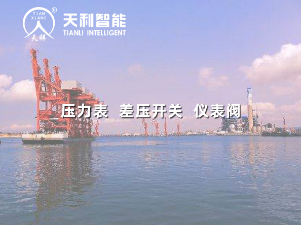 廣東粵電茂名博賀電廠2*100萬千萬上大壓小工程